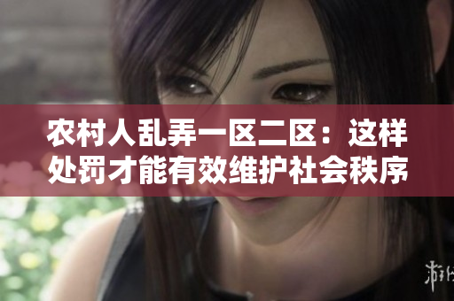 农村人乱弄一区二区：这样处罚才能有效维护社会秩序
