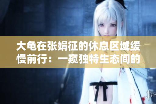 大龟在张娟征的休息区域缓慢前行：一窥独特生态间的亲密接触