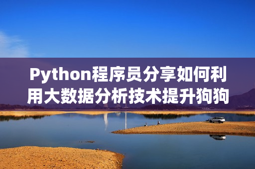 Python程序员分享如何利用大数据分析技术提升狗狗饲养体验