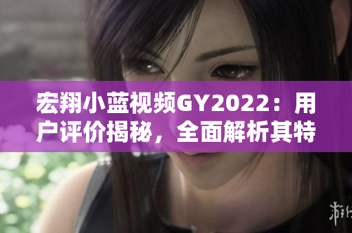 宏翔小蓝视频GY2022：用户评价揭秘，全面解析其特色与优势
