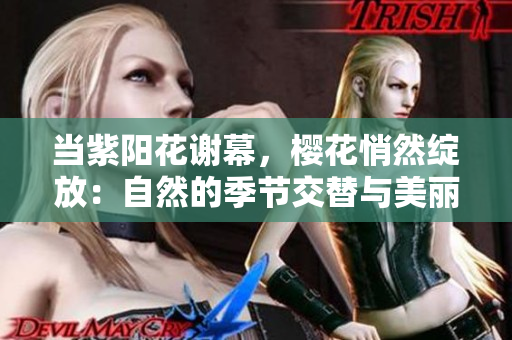 当紫阳花谢幕，樱花悄然绽放：自然的季节交替与美丽之约