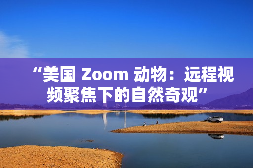 “美国 Zoom 动物：远程视频聚焦下的自然奇观”