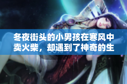 冬夜街头的小男孩在寒风中卖火柴，却遇到了神奇的生物，改变了他命运的故事