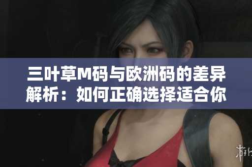 三叶草M码与欧洲码的差异解析：如何正确选择适合你的尺码