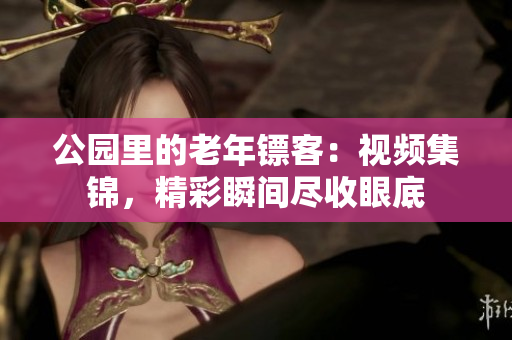 公园里的老年镖客：视频集锦，精彩瞬间尽收眼底