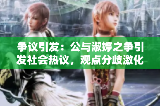 争议引发：公与淑婷之争引发社会热议，观点分歧激化