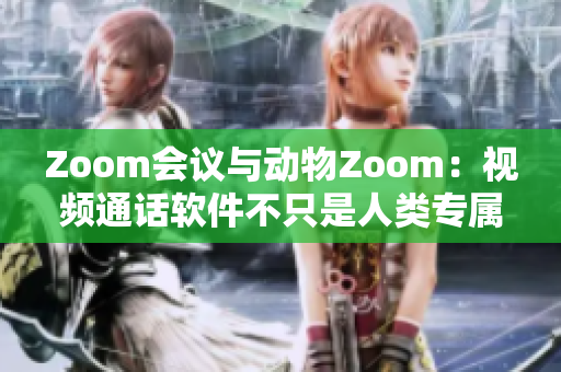 Zoom会议与动物Zoom：视频通话软件不只是人类专属