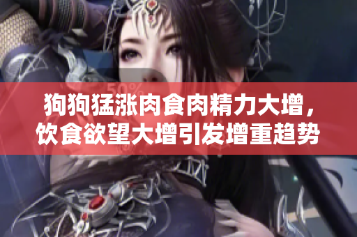 狗狗猛涨肉食肉精力大增，饮食欲望大增引发增重趋势