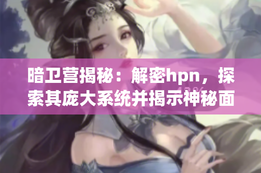 暗卫营揭秘：解密hpn，探索其庞大系统并揭示神秘面纱