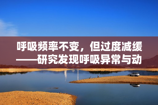 呼吸频率不变，但过度减缓——研究发现呼吸异常与动作调节关联