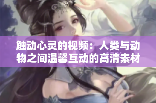 触动心灵的视频：人类与动物之间温馨互动的高清素材！