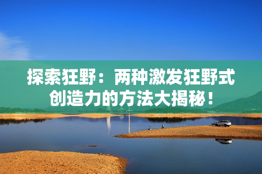 探索狂野：两种激发狂野式创造力的方法大揭秘！