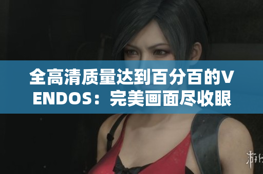 全高清质量达到百分百的VENDOS：完美画面尽收眼底