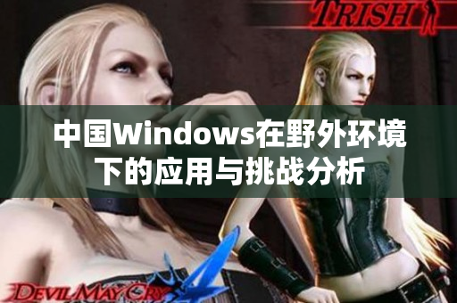 中国Windows在野外环境下的应用与挑战分析
