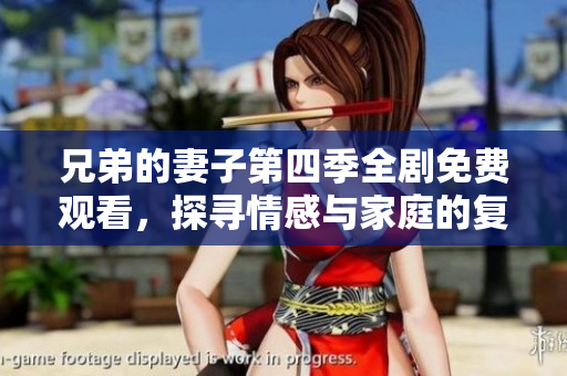 兄弟的妻子第四季全剧免费观看，探寻情感与家庭的复杂关系