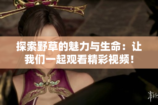 探索野草的魅力与生命：让我们一起观看精彩视频！