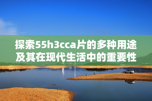 探索55h3cca片的多种用途及其在现代生活中的重要性