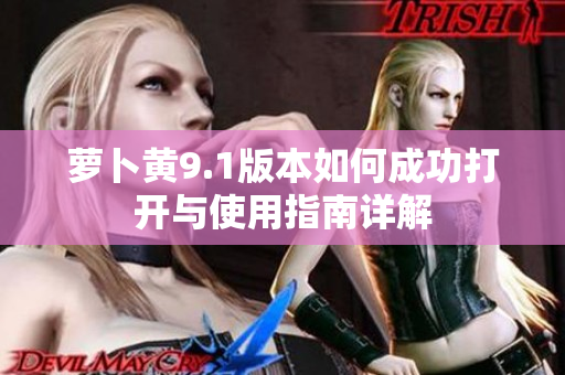 萝卜黄9.1版本如何成功打开与使用指南详解