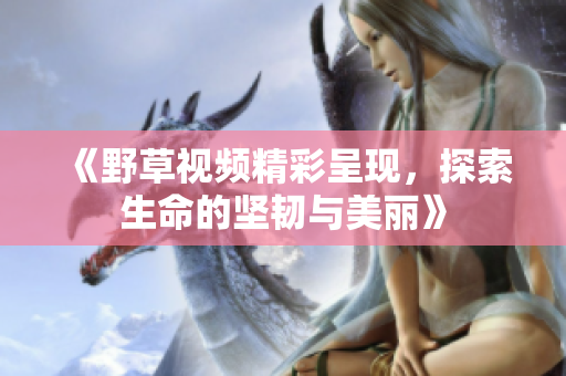 《野草视频精彩呈现，探索生命的坚韧与美丽》
