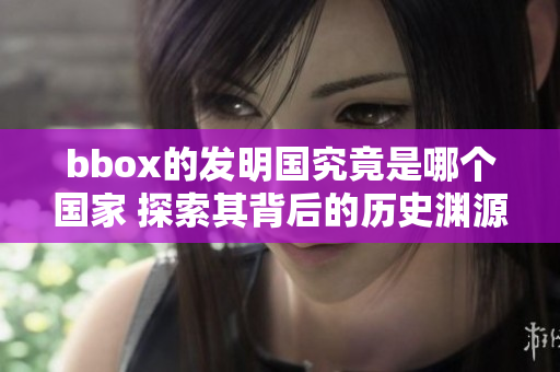bbox的发明国究竟是哪个国家 探索其背后的历史渊源与发展