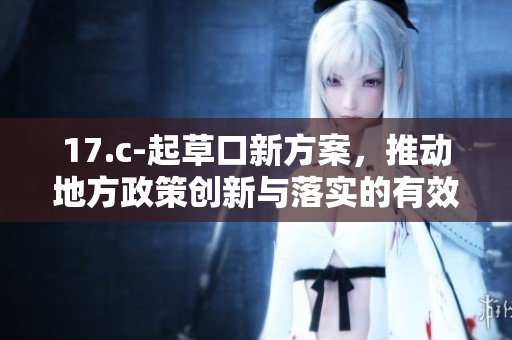 17.c-起草口新方案，推动地方政策创新与落实的有效措施