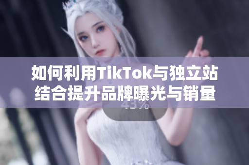 如何利用TikTok与独立站结合提升品牌曝光与销量
