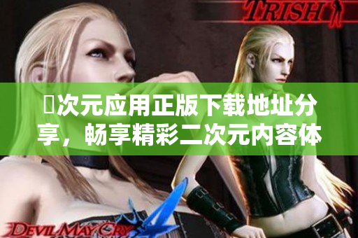 囧次元应用正版下载地址分享，畅享精彩二次元内容体验