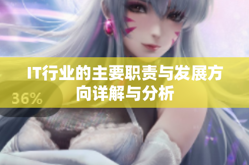 IT行业的主要职责与发展方向详解与分析