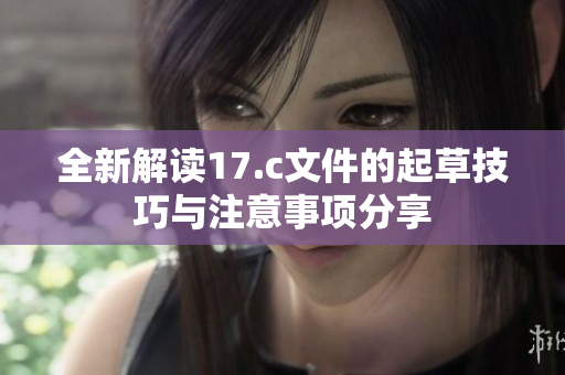 全新解读17.c文件的起草技巧与注意事项分享