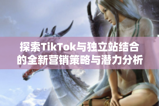 探索TikTok与独立站结合的全新营销策略与潜力分析