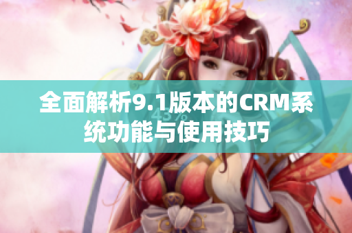 全面解析9.1版本的CRM系统功能与使用技巧