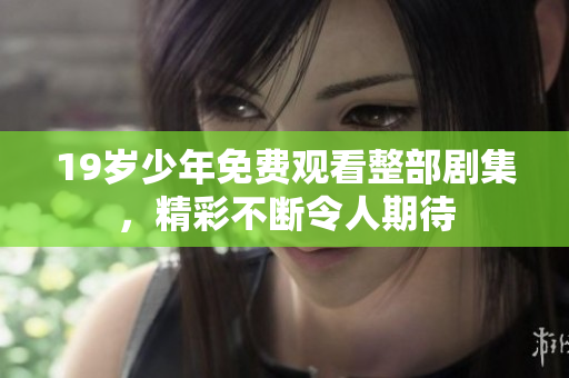 19岁少年免费观看整部剧集，精彩不断令人期待